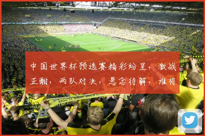 中国世界杯预选赛精彩纷呈，激战正酣，两队对决，悬念待解，谁将脱颖而出
