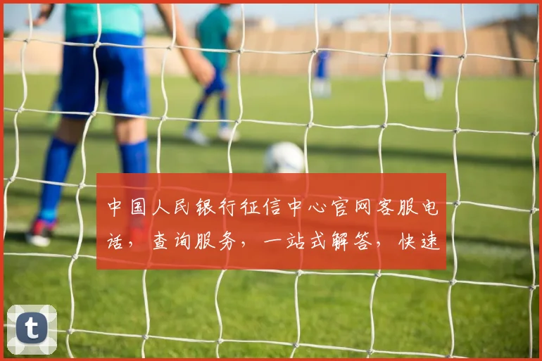中国人民银行征信中心官网客服电话，查询服务，一站式解答，快速获取，三步到位